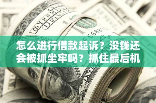 济南怎么进行借款起诉？没钱还会被抓坐牢吗？抓住最后机会！