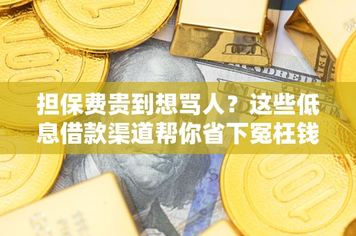 济南担保费贵到想骂人？这些低息借款渠道帮你省下冤枉钱