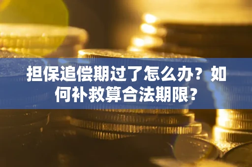 济南担保追偿期过了怎么办？如何补救算合法期限？