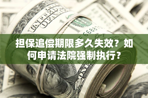 济南担保追偿期限多久失效？如何申请法院强制执行？