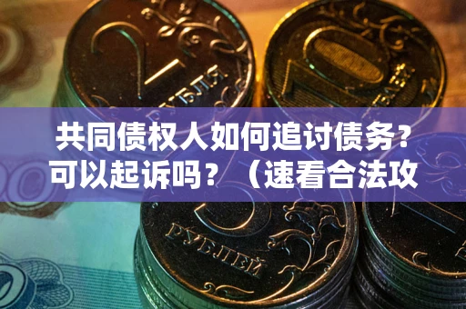 济南共同债权人如何追讨债务？可以起诉吗？（速看合法攻略）